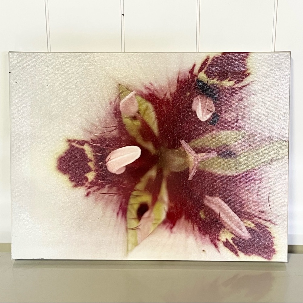 Floral Orchid Canvas Art with Pink and Green Accents